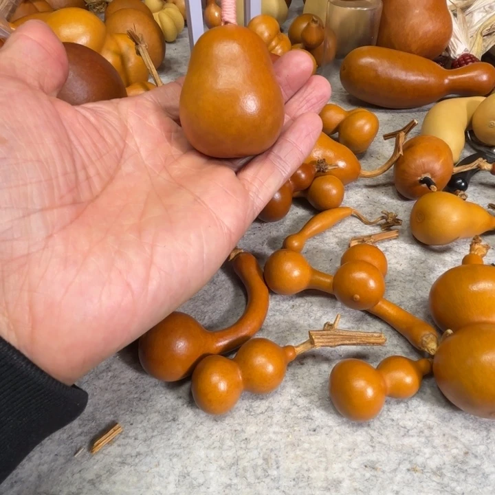 ****甜甜甜的一把冬瓜，甜甜一把冬瓜葫芦