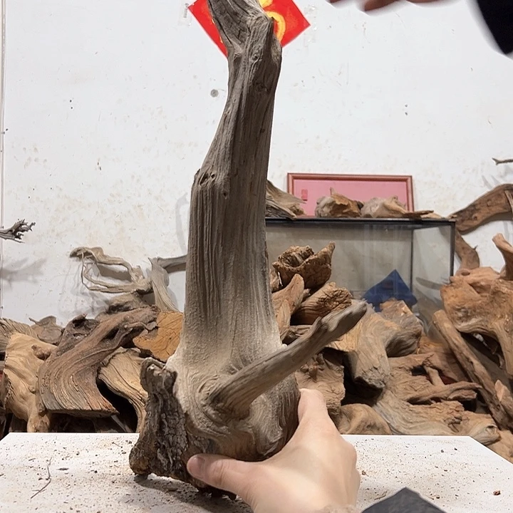 柏木木****店我们的生活是以自己