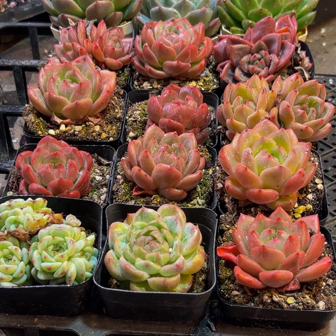 860的人都在用这个