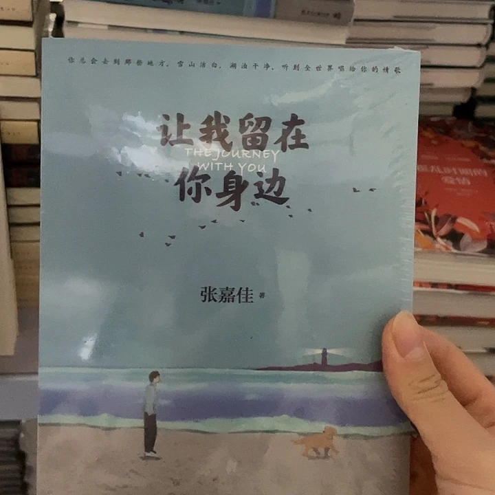 让我留在你身边  平装带塑封