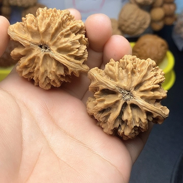 文玩核桃把件迷****界状元冠