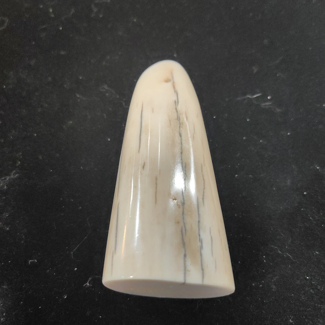 猛犸猛犸虬饼子WT570
