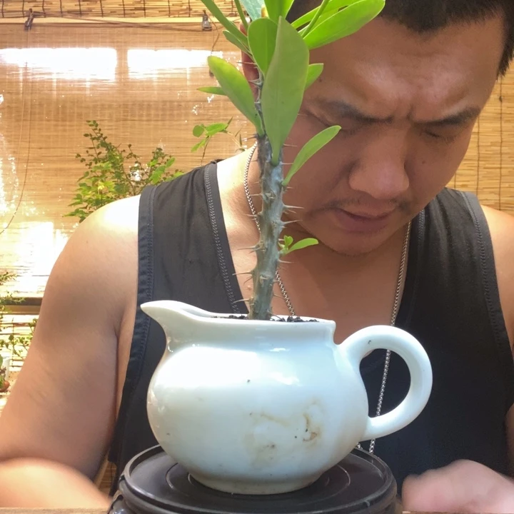 滨*一物一拍所见即所得133