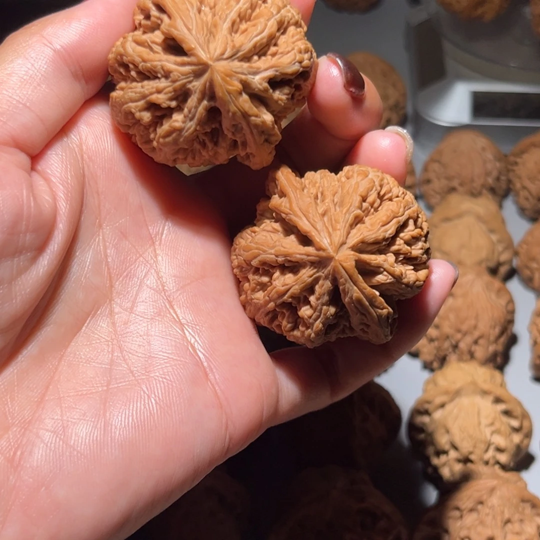 木质类大粗筋44全品