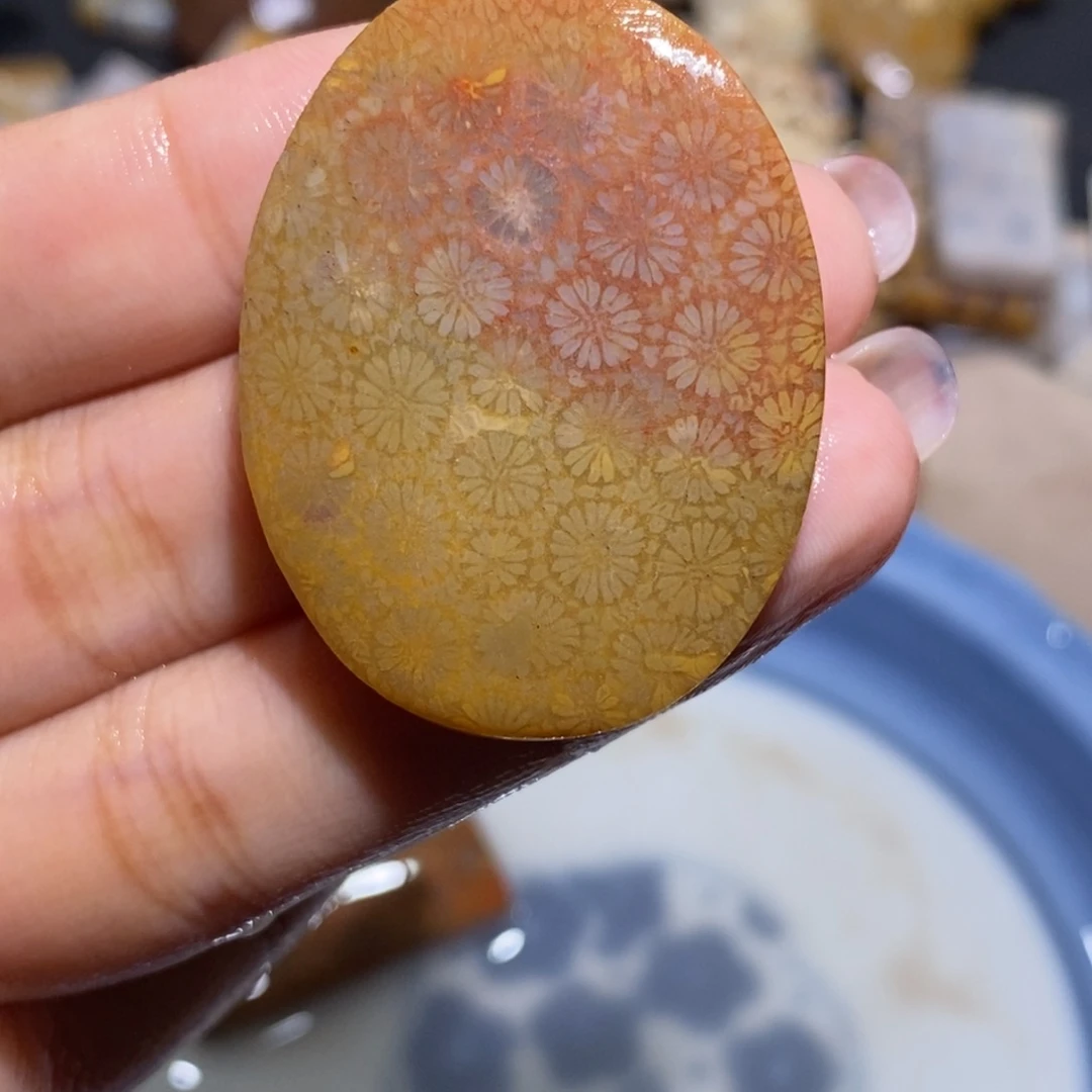 【闪购商品】未镶嵌珊瑚玉硅化玉