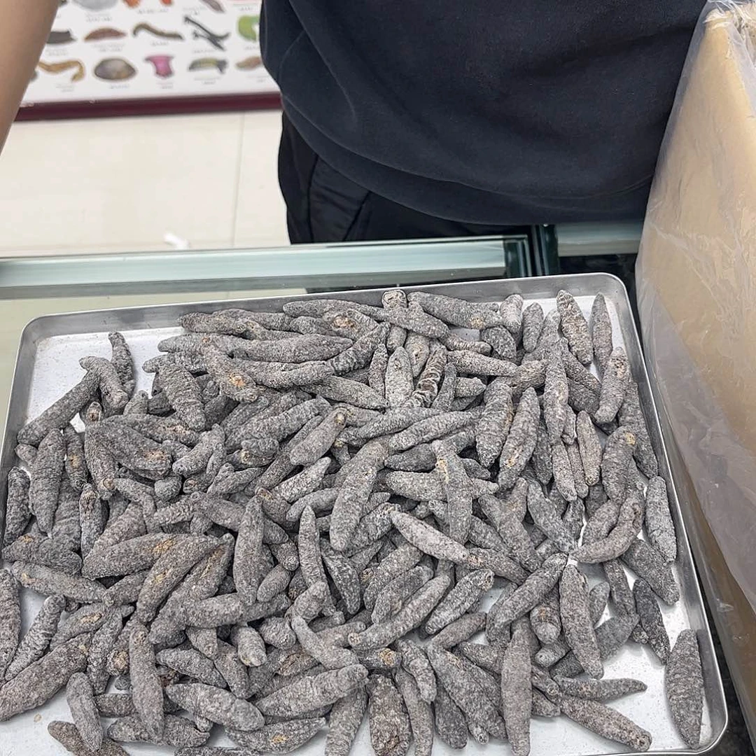 中国大陆开罗群岛黑米刺参