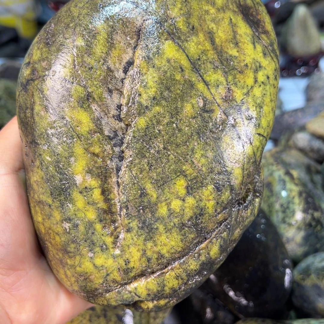 合金蛇纹石玉西藏藏玉药王石户*