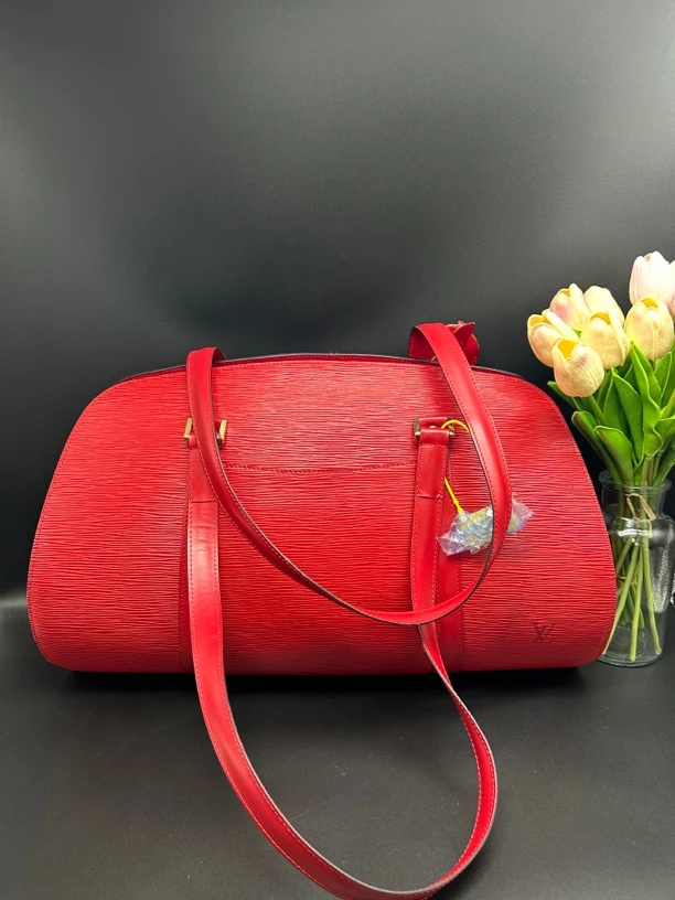 95新 LouisVuitton/路易威登 LV 路易威登红色水波纹巴比龙2226