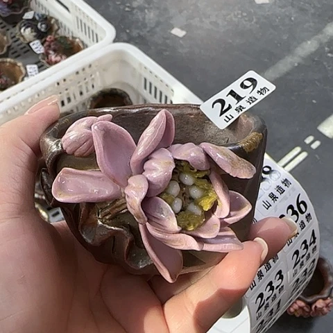 瓷片柴烧柴烧柴烧219