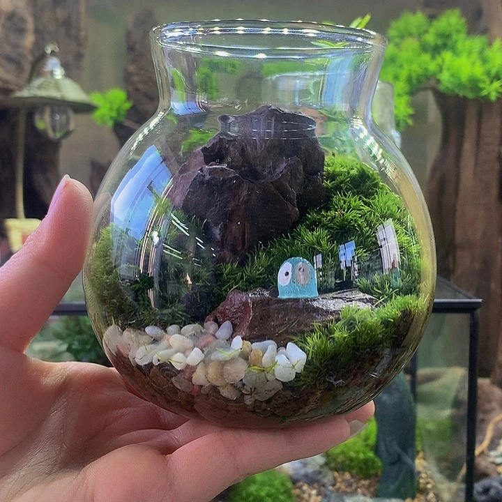 无花朵圆形微景观