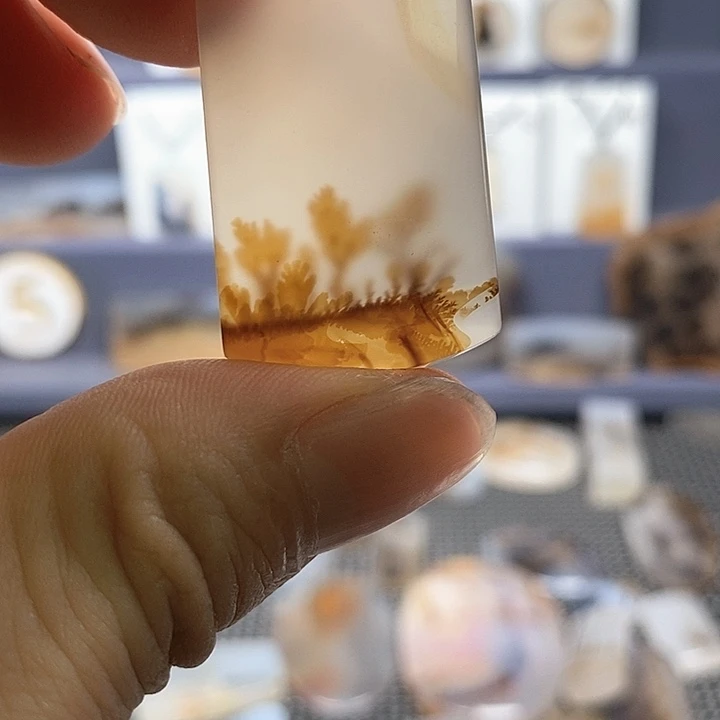 未镶嵌玛瑙/玉髓珠宝奇石大**y