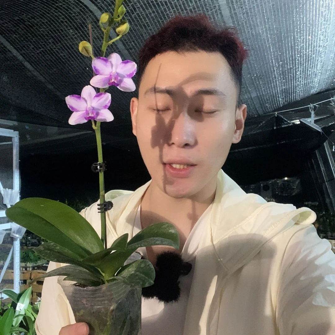 无花朵紫水晶带花