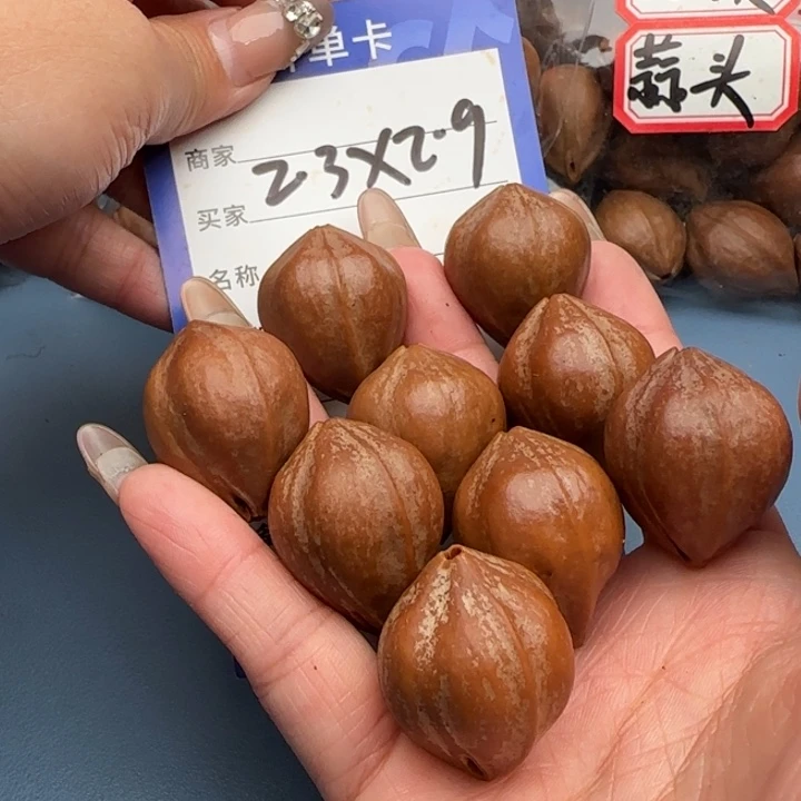 手串橄榄核橄榄核