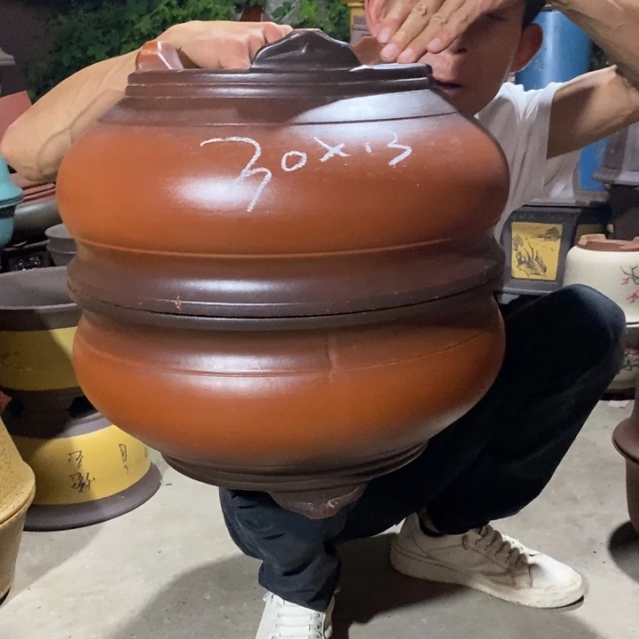 紫砂紫砂紫砂紫砂