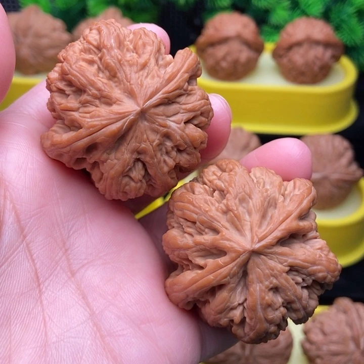 粗筋43.6全品11111