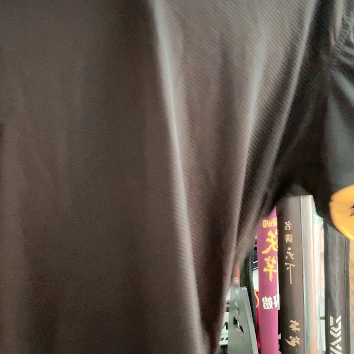 Polo衫  s码   包邮