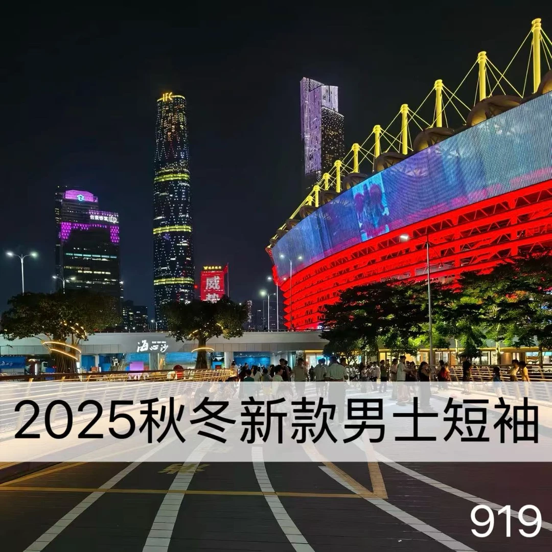 2025冬季新款男士短袖T恤纯色百搭潮流款-919【X-C-F-11.13】B