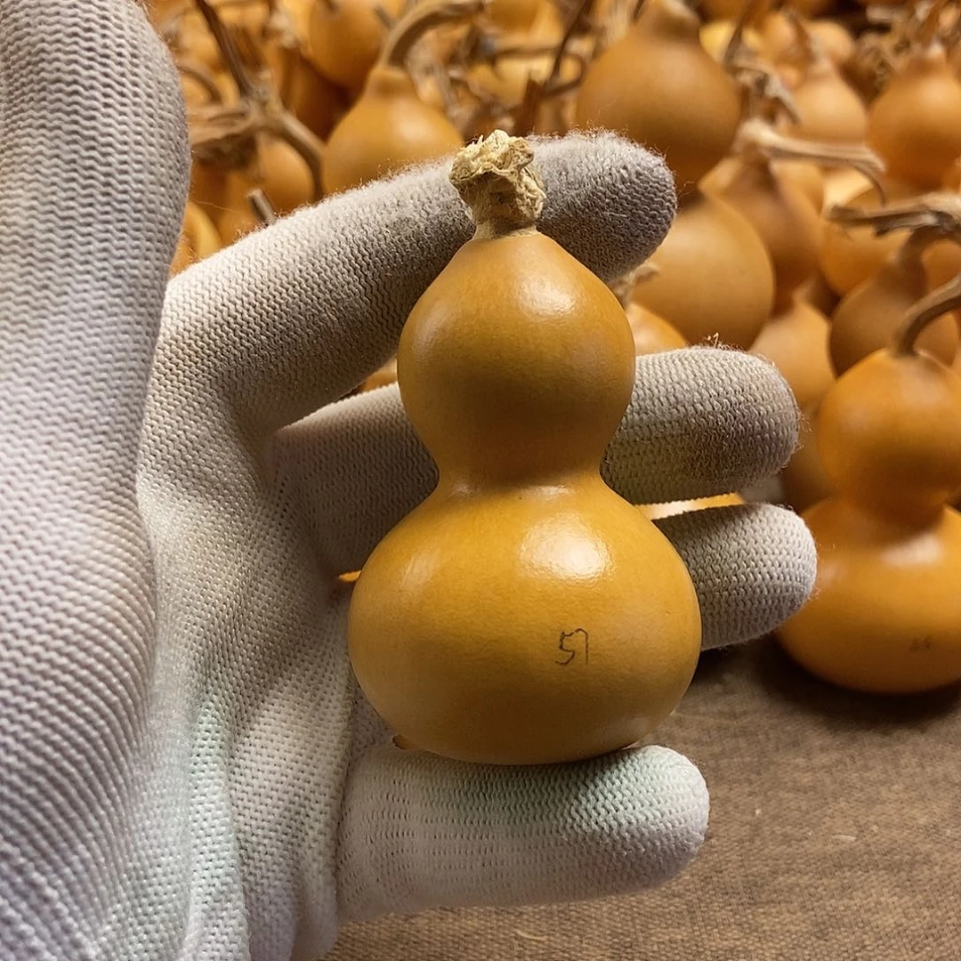 文玩葫芦 完美主义者 慎拍57