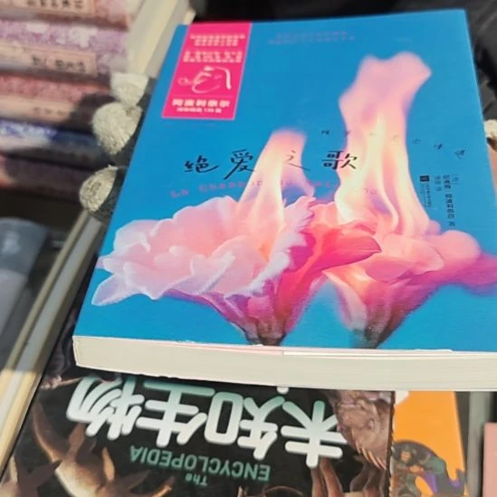 绝爱之歌平装库存书（务必塑封）微瑕介意微瑕