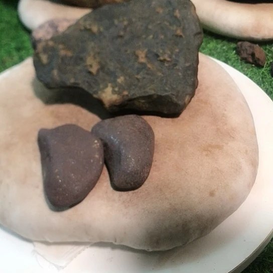Z**子天然原石竹叶纹
