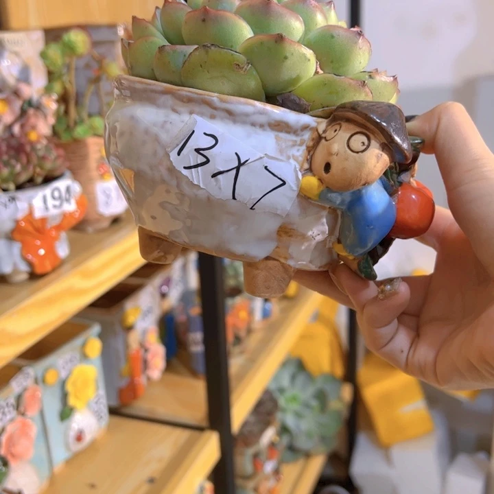 多肉花盆满15包邮，爱退款拉黑