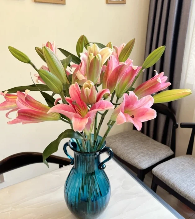 【新疆花之溪】麦当娜百合 2头5枝（10%-20%不赔付）