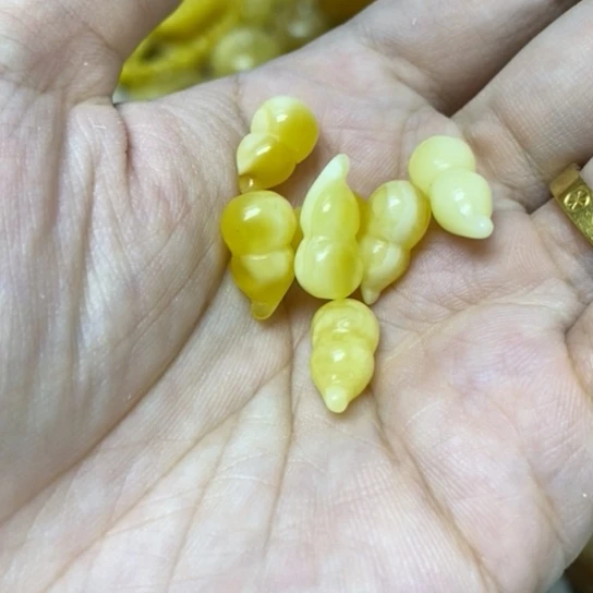 蜜蜡未镶嵌裸石多样性发货其一