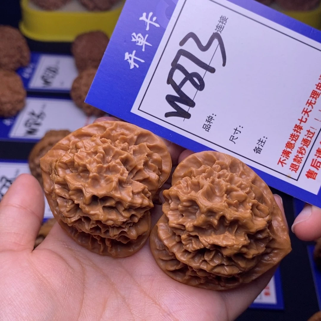 W873链接 帝王45尺 000
