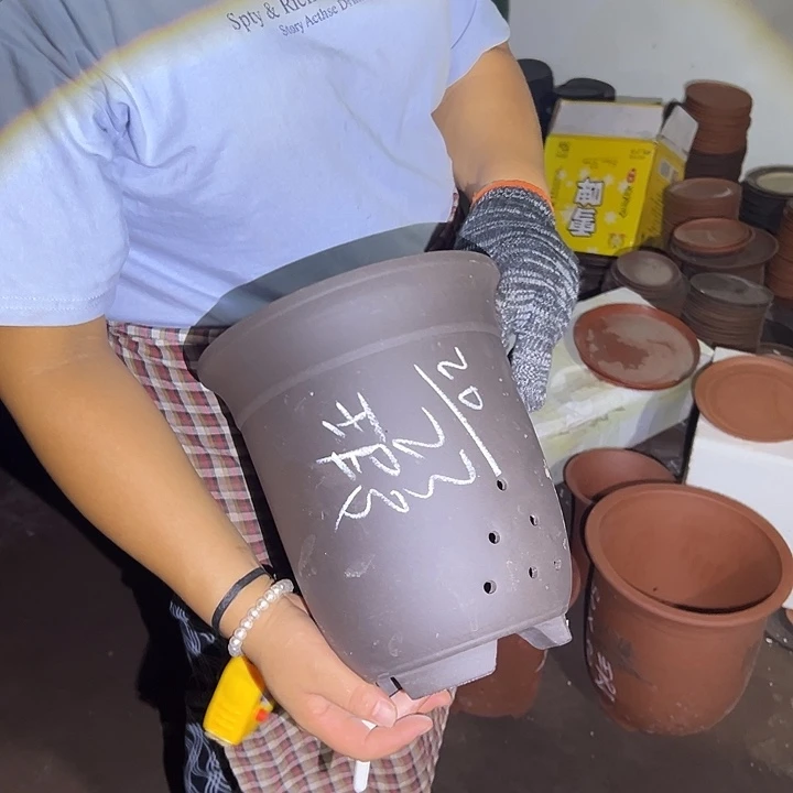 花盆紫砂紫砂花盆