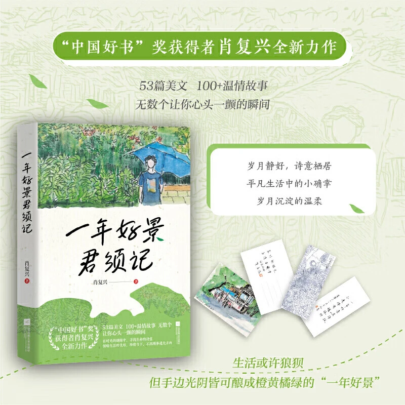肖复兴一年好景君须记 散文里的治愈与成长 治愈内卷与自我和解