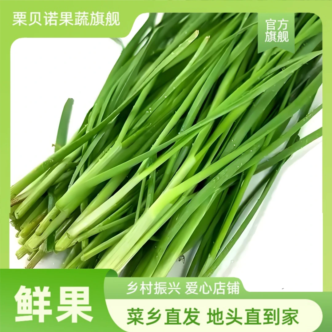 新鲜韭菜当季头茬去泥山东农家自种蔬菜现割现发鲜嫩露天应季韭菜