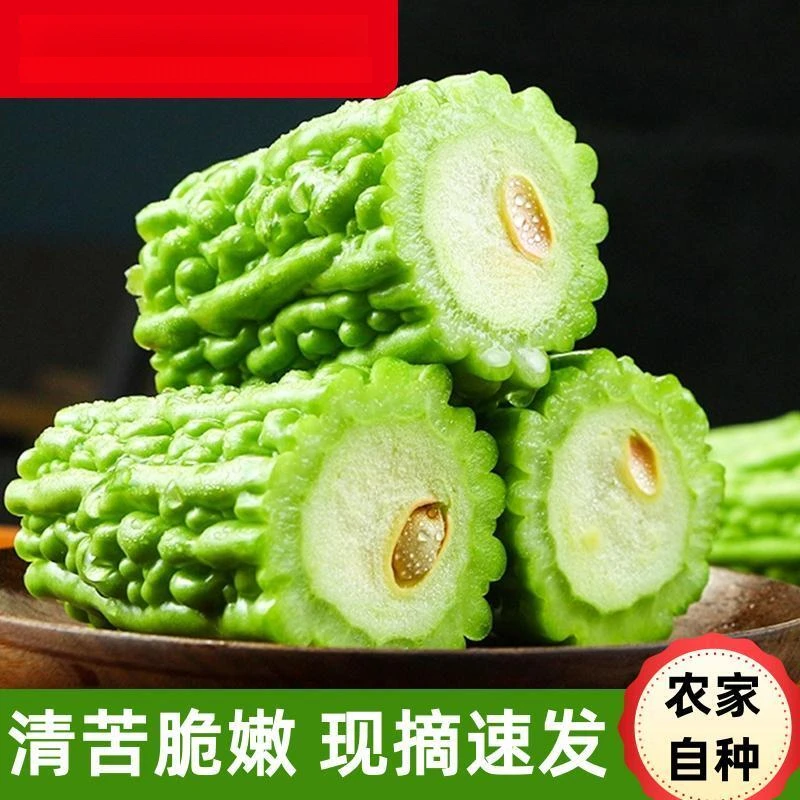 苦瓜新鲜现摘现发批发本地凉瓜当季农家自种产地直发
