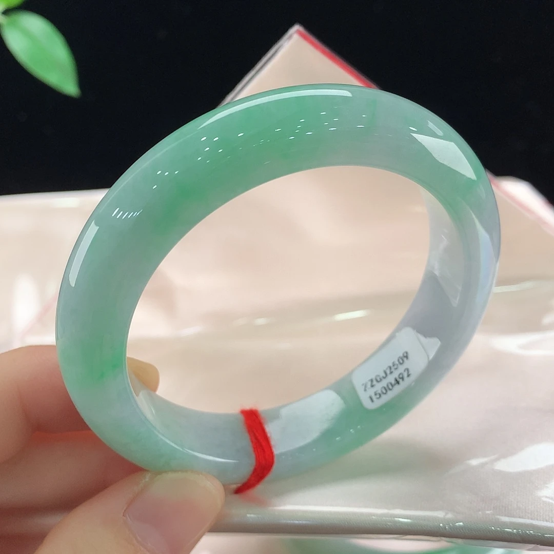 未镶嵌手镯翡翠0492