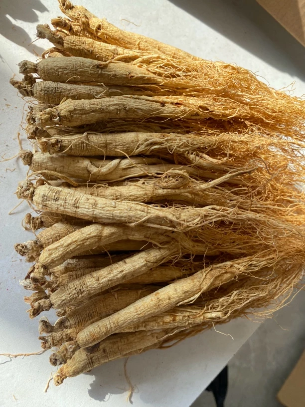 ZOCI长白山人参园参原产地直销无任何添加泡水泡酒煲汤滋补营养