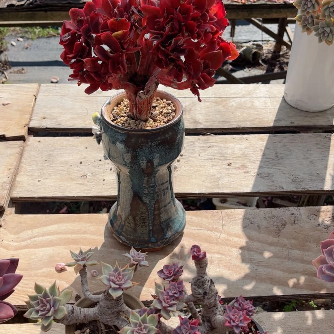 在家了＂你的。你的电话怎么