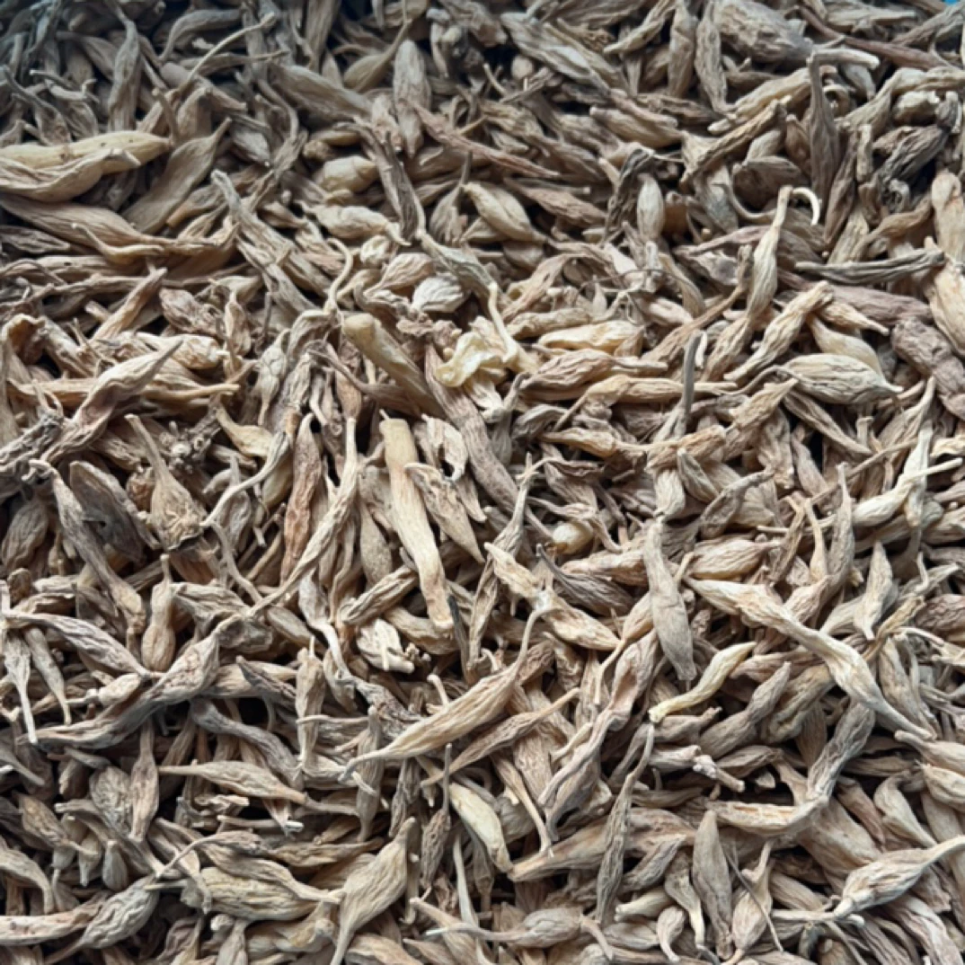 甘肃高原干货老~麦冬-批发