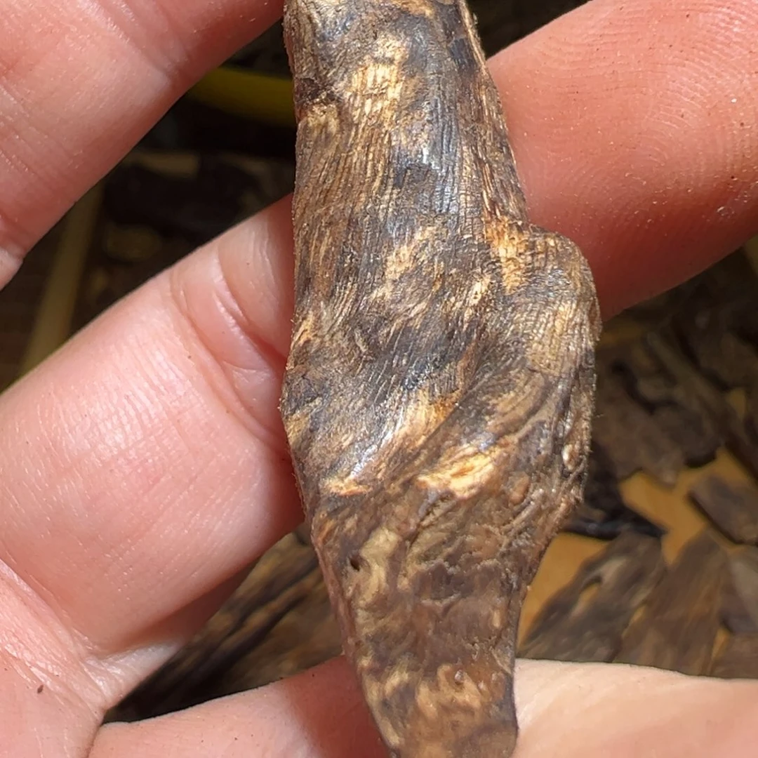 沉香碎屑沉香菲律宾1.7