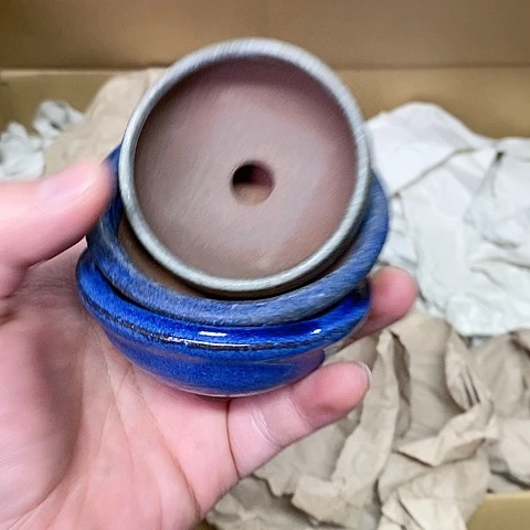 紫砂就哈哈哈哈哈哈哈哈哈