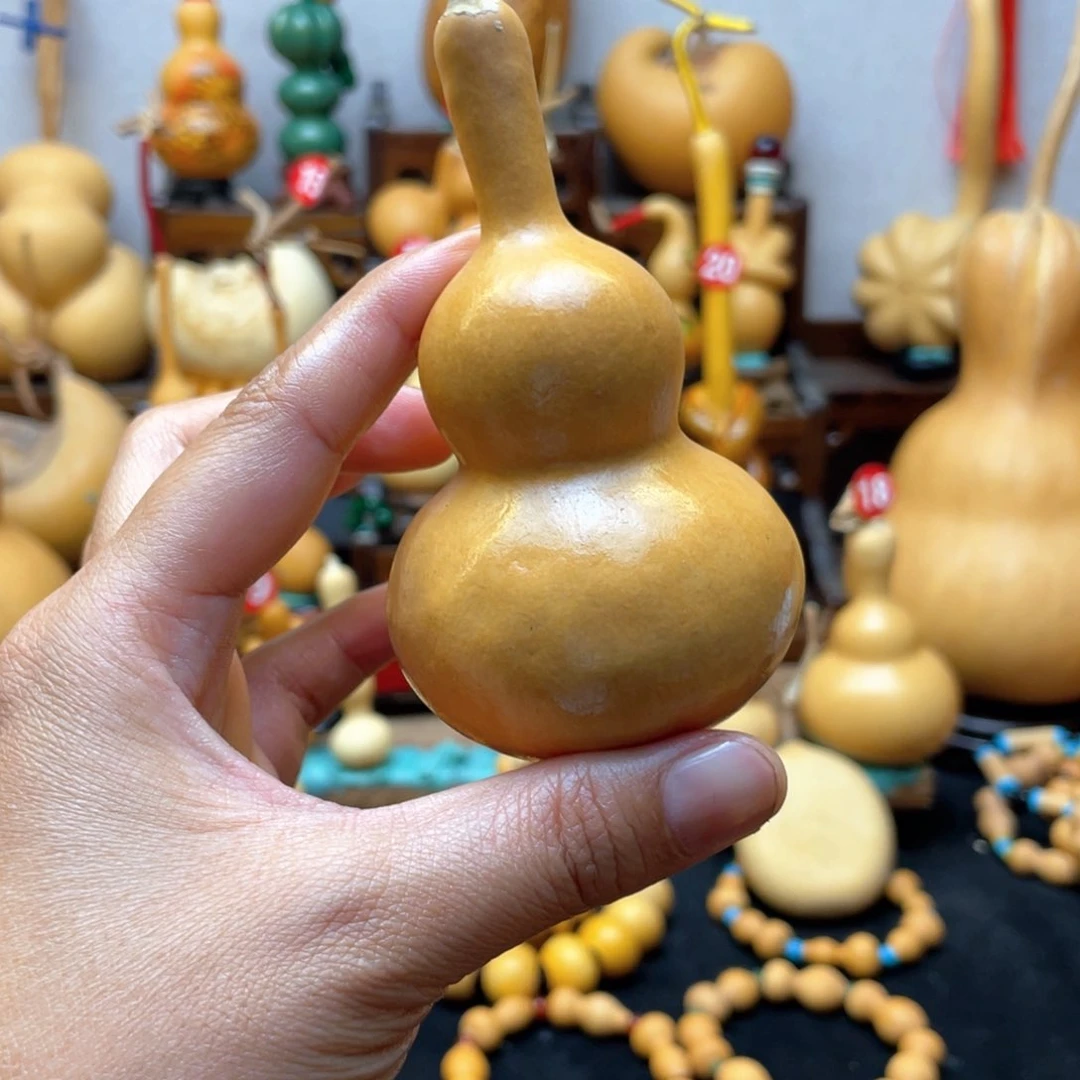 3**1大自然的秘密第十一节的故事第二