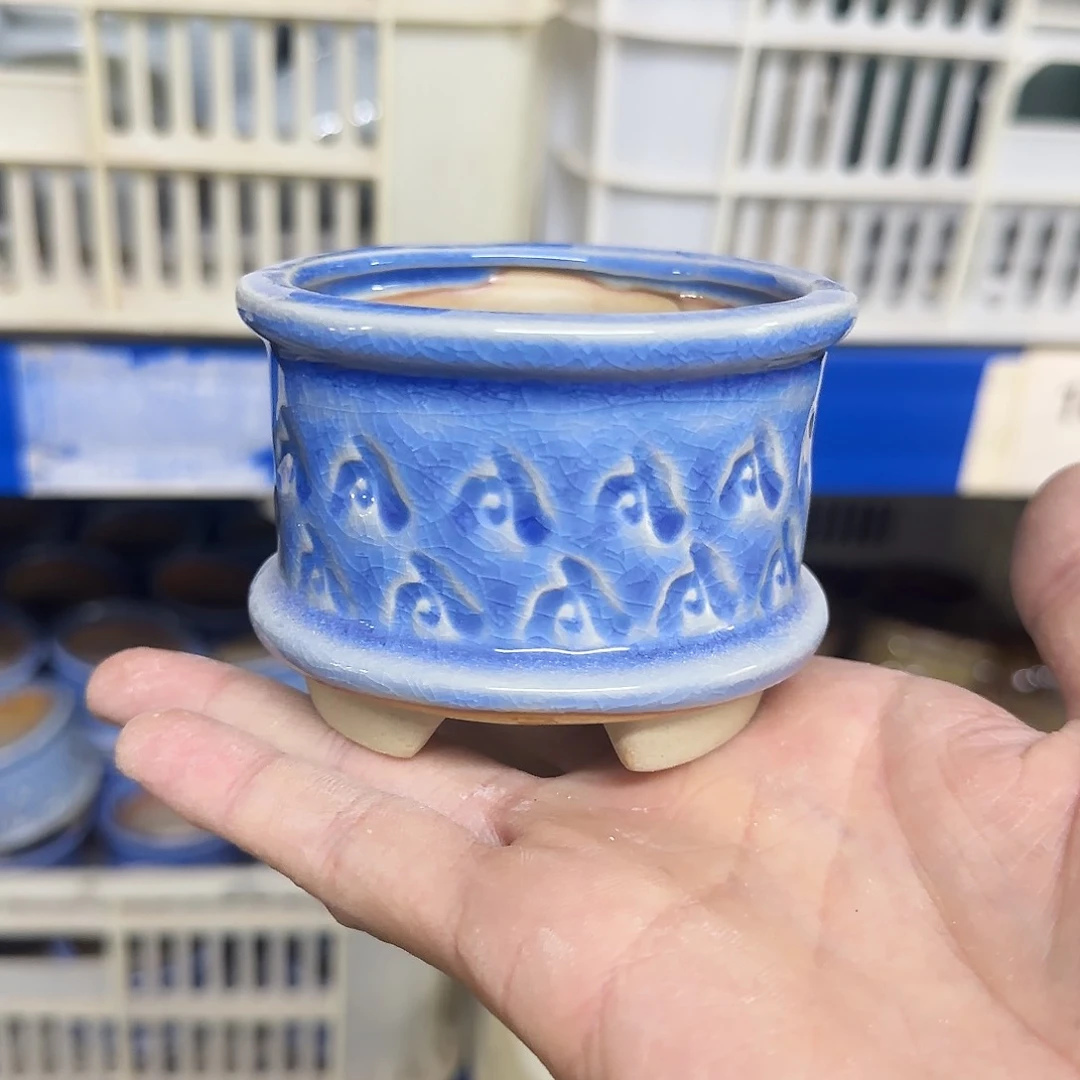 福利局［凑9元包邮24小时发］1063