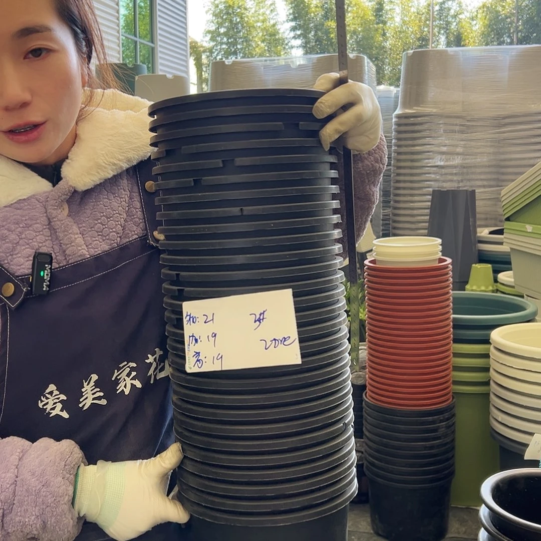 瑕疵加仑盆2#黑色10个无托