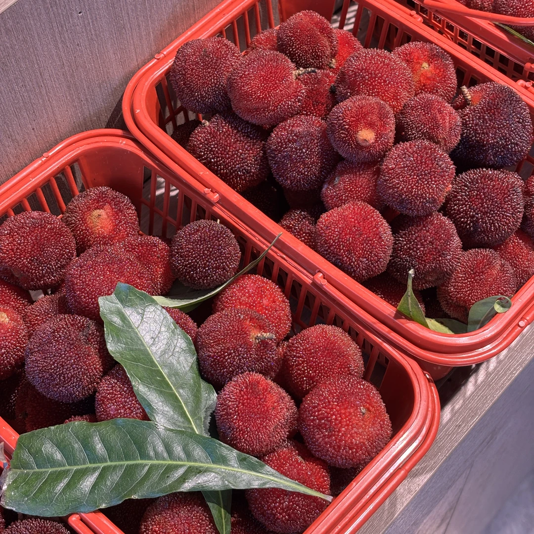 仙居杨梅30元两斤一篮子/汁水丰富【兴国同城小时达】