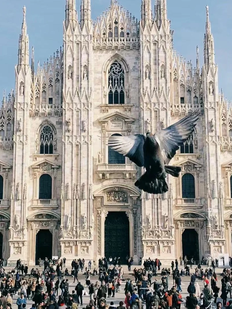 XL-C9-8158-设计师联名款POLO衫-7.7