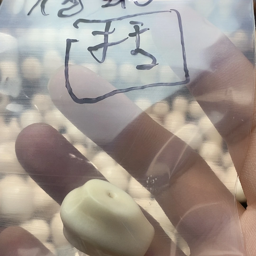 大***)菩提根/象牙果吊坠