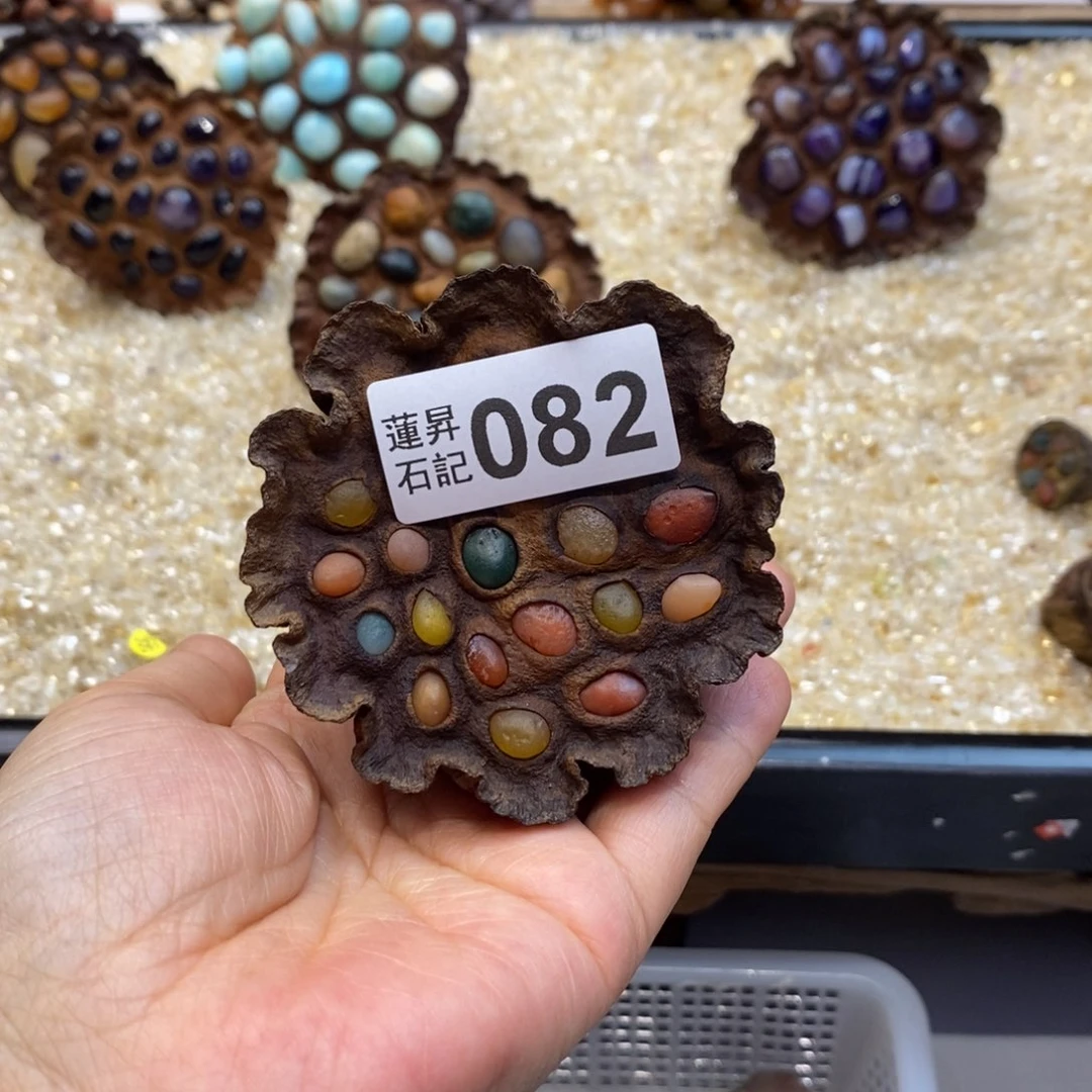 核桃木/黑胡桃（胡桃木）我***个082