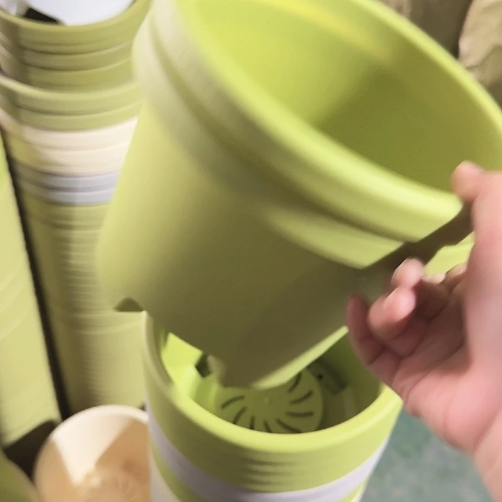 球根21口径6个无托果绿