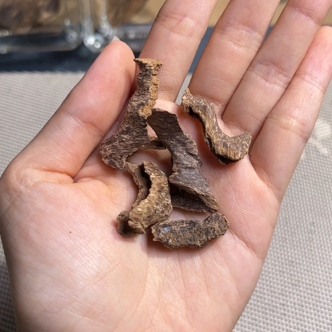 沉香海南尖峰岭鸡母虫漏3.3克