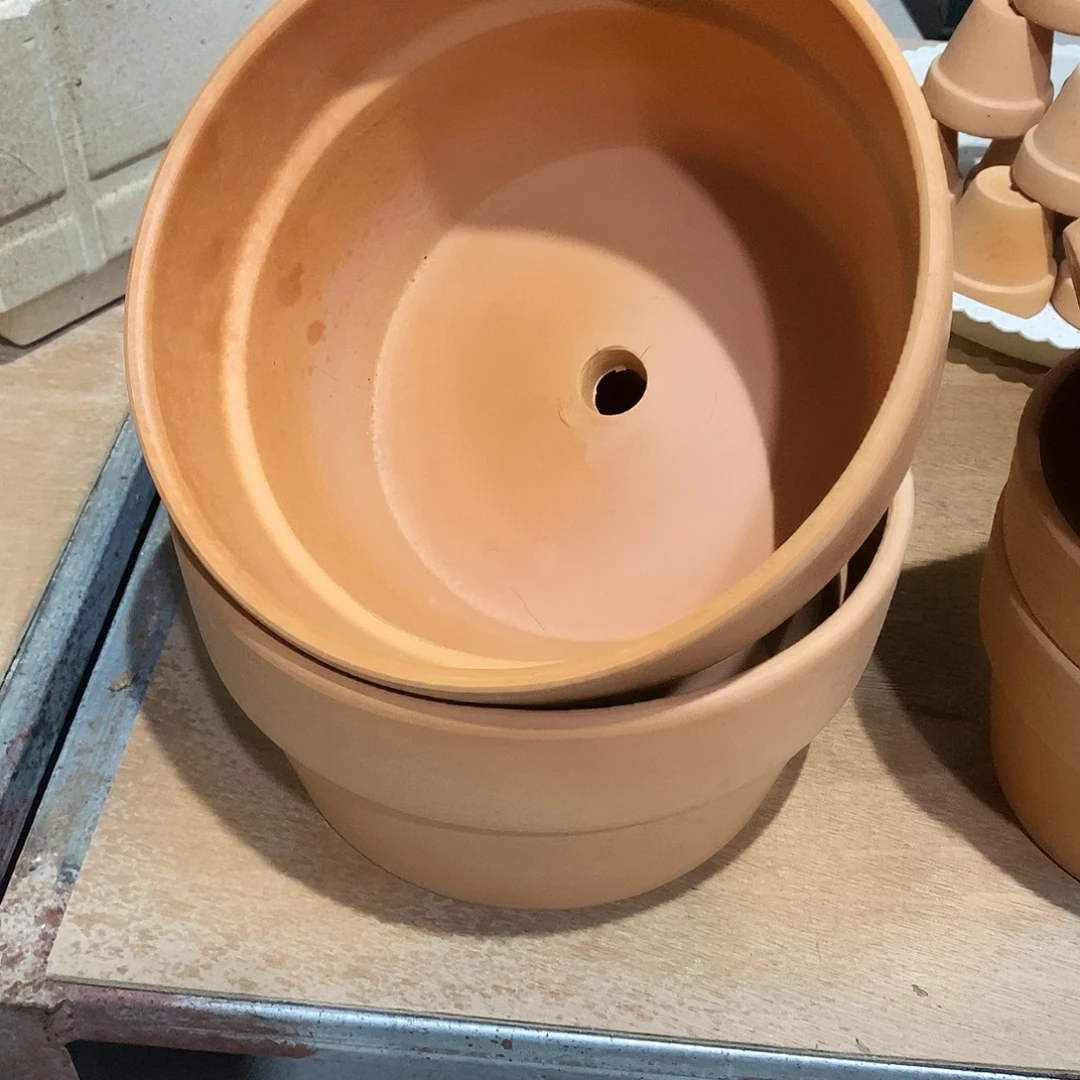 红陶20×11-2