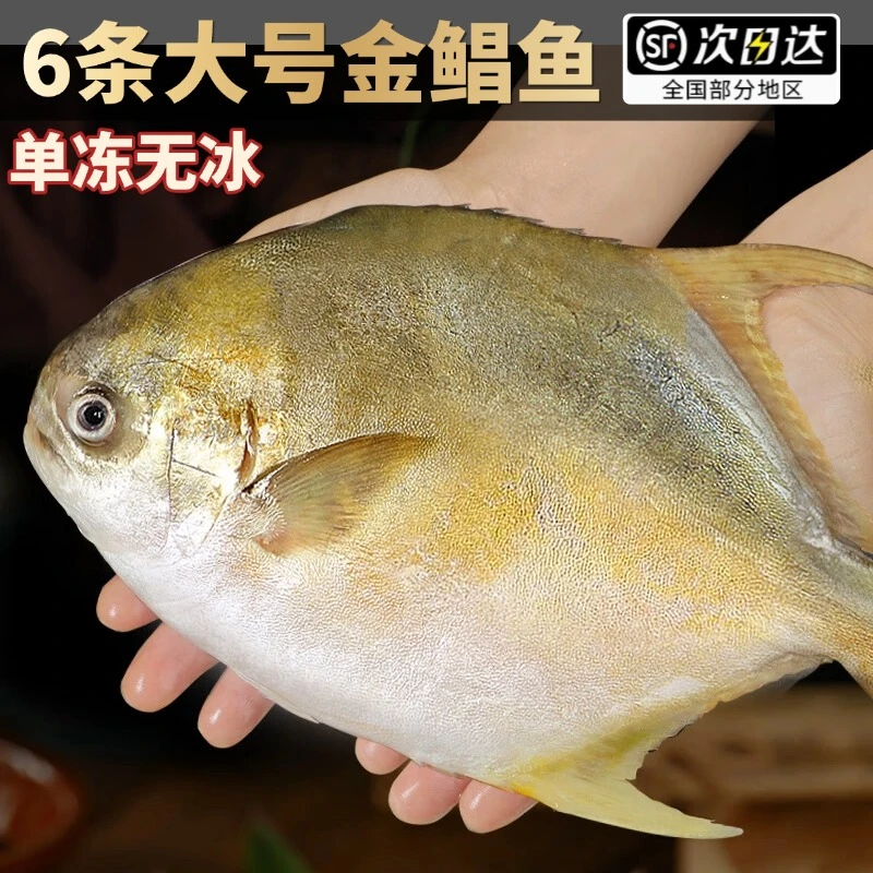 顺丰【金鲳鱼400g/条，买3条送3条】新货新鲜海鱼海鲜水产鲜活冻T