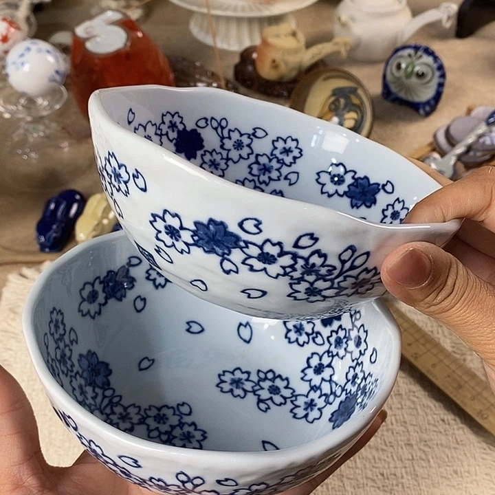 瓷片我是第二十届联大常委